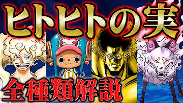 ワンピースセンゴク
