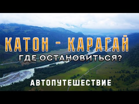 Video: Италия карагайы, же карагай: сүрөттөмө, өстүрүү өзгөчөлүктөрү жана сын-пикирлер