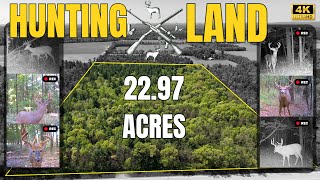 22.97 Acres Hunting Property For Sale in WISCONSIN DELLS WI | WHITETAIL LAND REAL ESTATE VIDEO TOUR