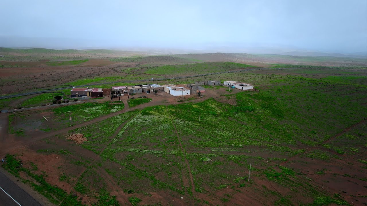 صور من وادنون