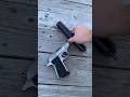 tainless Walther PPK/S: Up Close &amp; Personal #Shorts
