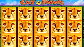 ★★JACKPOT HANDPAY★★$250 BETS★★CAT PAWS HIGH LIMIT SLOT MACHINE BUENO DINERO MUSEUM SLOTS IGT