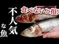 知らないと損。塩焼き最強なのに不人気な魚。