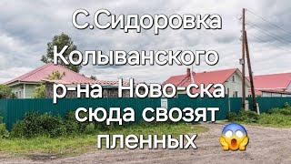 Инфоцыган лже директор Кильдеров с двумя сроками, наркоман, мошенник, преступник на свободе 😡😱