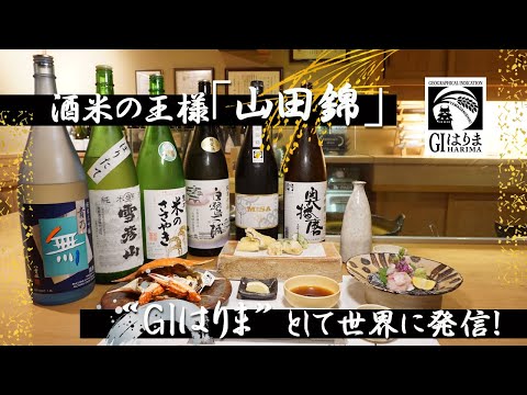 酒米の王様「山田錦」“GIはりま”として世界に発信！！