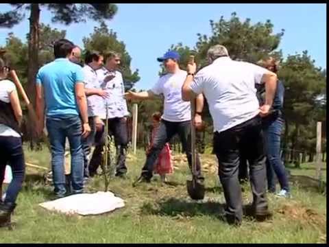 გამწვანების აქცია მახათას მთაზე