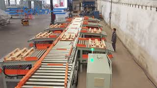SF5000 pallet sorting line