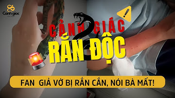 Người dùng giả vờ bị rắn cắn, nói bà mất! #ran #snake #yhoc #rắn