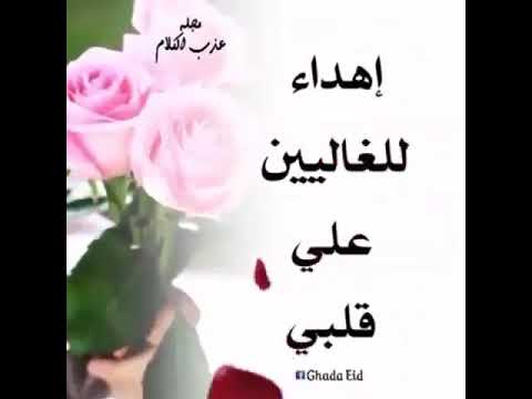 فيديو مباركة عن السنة الجديدة
