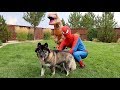 Spiderman SAVES Kakoa From T-Rex!