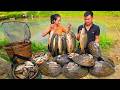 Catching Fish and Oysters for Profit | Smart Harvesting for Market Sales