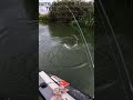 Il mord au dernier moment #floattuber flo#pêche #leurre ##floattube #brochet #franchecomté