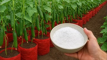 If you know THIS, you