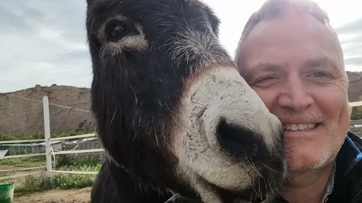 What happens when you tell an animal that you love...
