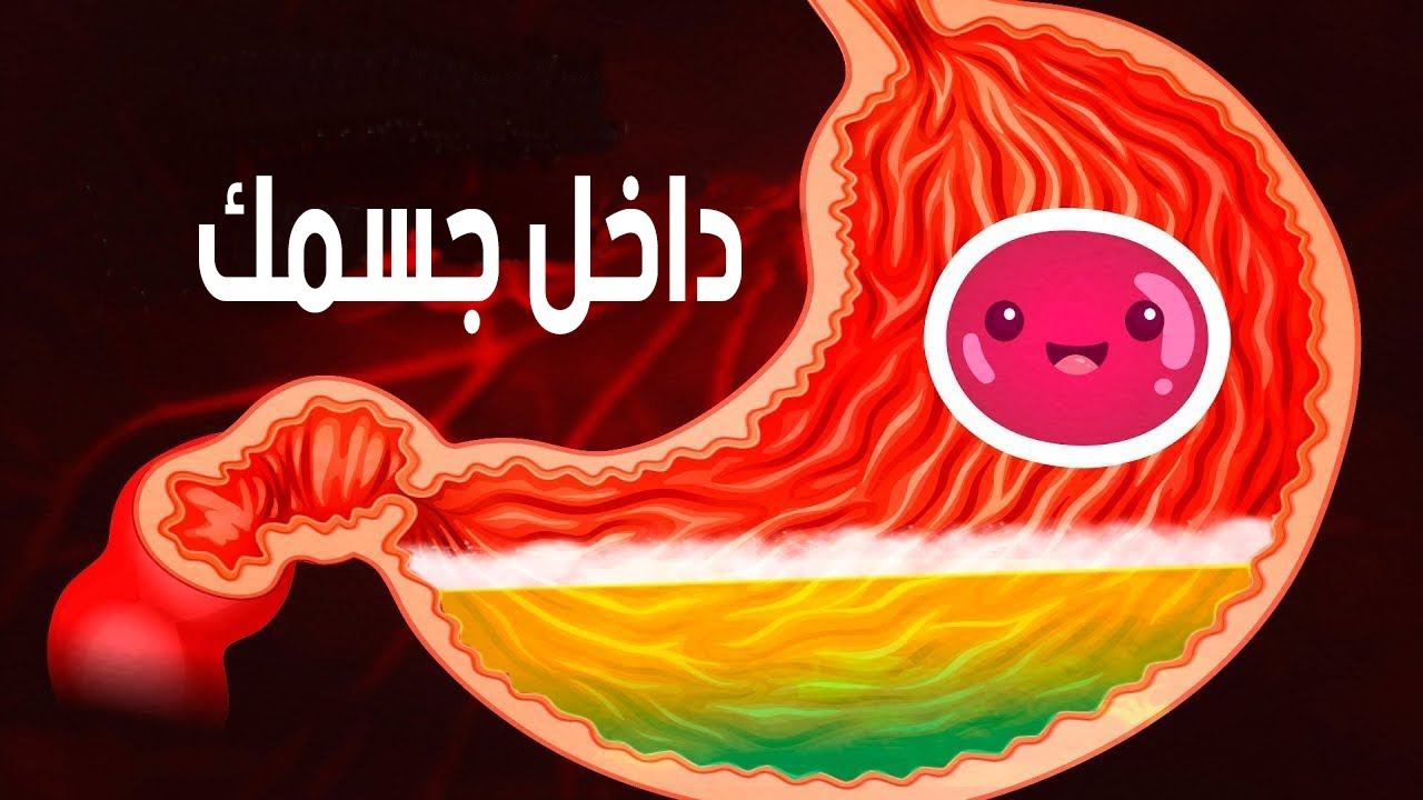 رحلة داخل الجهاز الهضمي