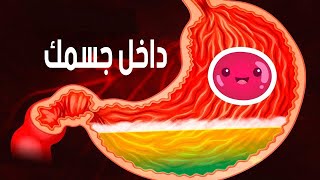 رحلة داخل الجهاز الهضمي by  NADER 591,345 views 4 years ago 8 minutes, 1 second