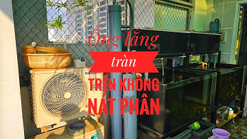 Fish 170: Thiết kế ống lắng cho lọc tràn trên không nát phân