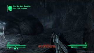 Fallout 3 - Fire ant Exterminator