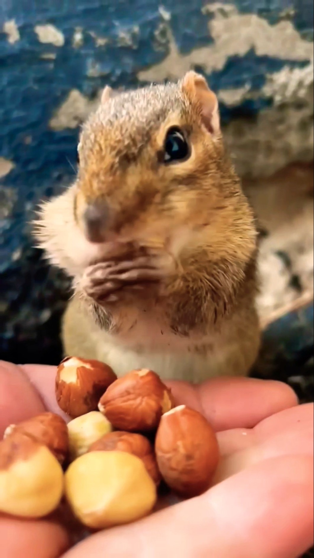 ?️?️?️ funny video ?#shots #comedy #fyp
