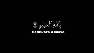 Чтец Мухаммад Аль Люхайдан | Сура Аль-Хакка | Аяты 29-52