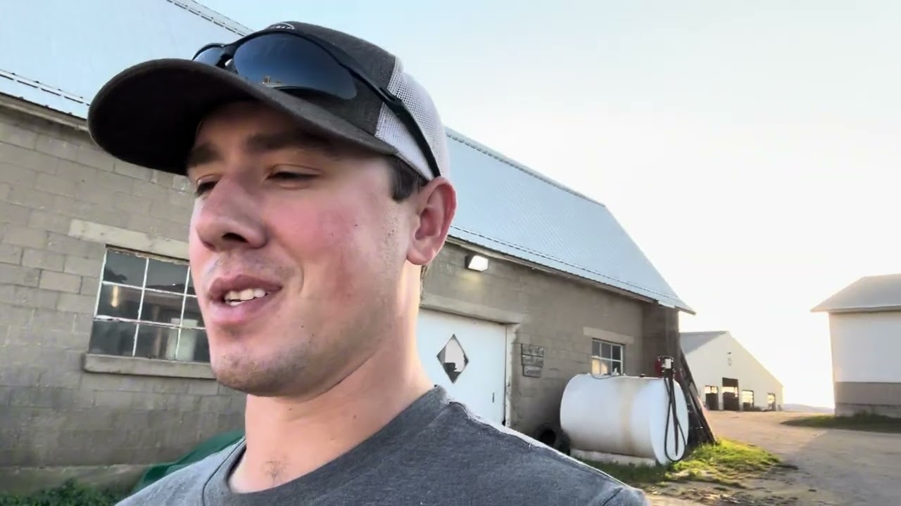 Отъем телят, мойка загонов, командная работа фермерской семьи!