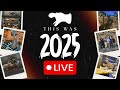 Das Jurassic und Dino Jahr 2025 -  so war es! Jurassic World, Toyplosion und die besten Dinostatuen