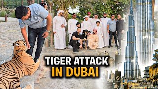 Dubai Me Sheikh k Tiger ny Attack kr Dia 😭 | Hospital Jana parh Gya 😐 | Nouman Hassan |