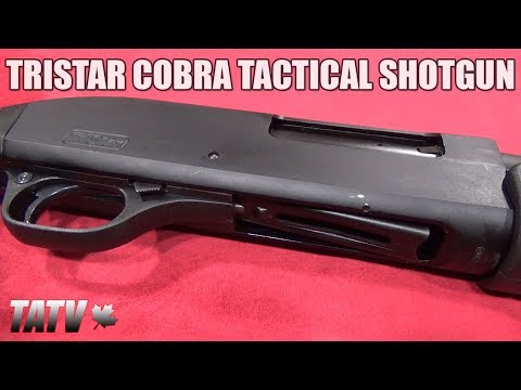 Tristar Cobra 20 Gauge Review