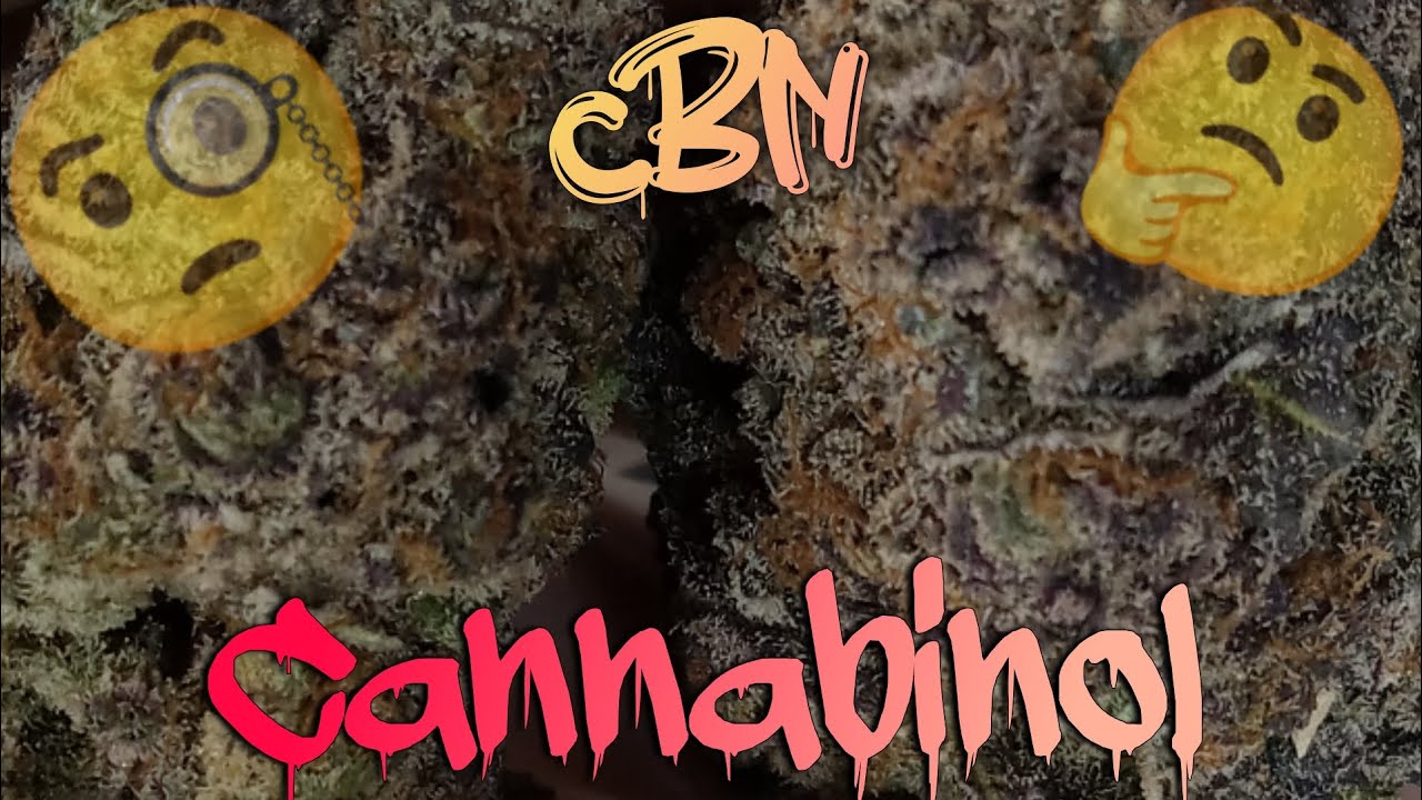 Let's Talk Cannabinoid Lesson 2: Cannabinol (CBN)