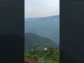 The camping TV #phadivibes #nature #mountains #myanimal #mydog #phadilifestyle #dehradunthecityo