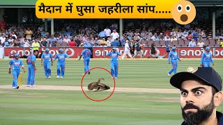 🐍 Snake Joins IPL Match, Accreditation Card Questioned | Shree Lanka Premier League #snake #srilanka