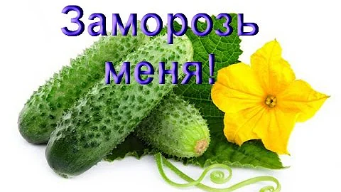 Заморозка огурцов отличный проверенный способ на зиму