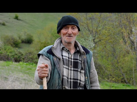 რა პრობლემების გადაწყვეტას ითხოვენ დედისფერულში