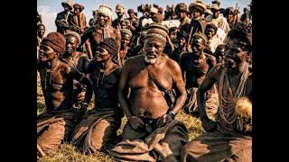 Nzok lobola ngama buffalo🇦🇲 
