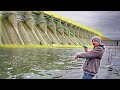 Unbelievable GIANT FISH From UNEXPECTED Locations!!! (Spillway/Puddle Fishing)