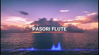 Pasori Flute || NCS