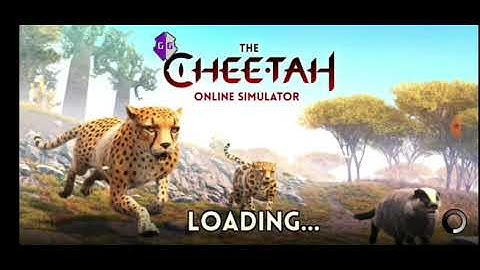 The Cheetah ( NO COOLDOWN HACK CODE 100% REAL ) THE REAL NO HACKER