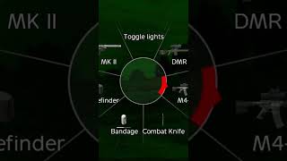 DMR with NVG scope DayZ