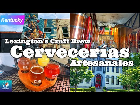 Video: Los 10 pubs con cerveza artesanal más populares de Montreal (cerveza artesanal, cervezas artesanales)