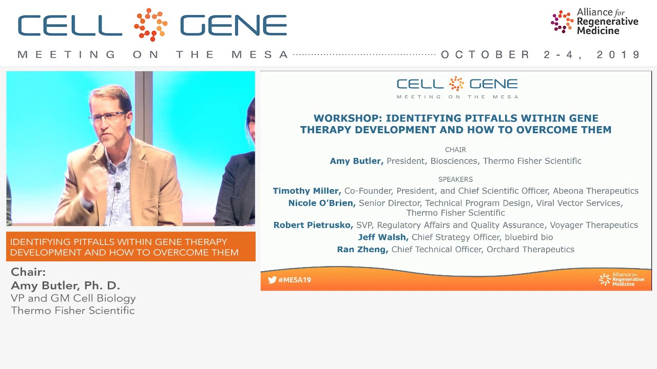 Workshop: Identifying Pitfalls within Gene Therapy Development and How to Overcome Them