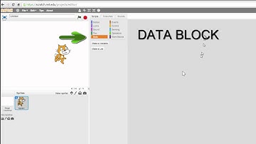 Scatch Lesson 2 - Loops & Variables