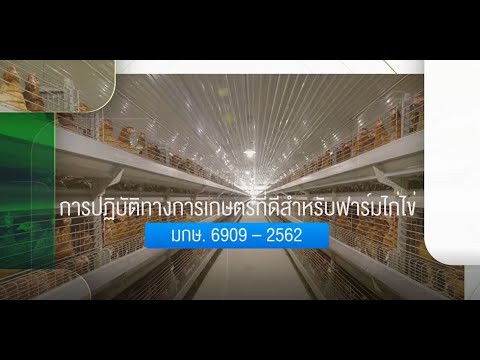 การปฏิบัติทางการเกษตรที่ดีสำหรับฟาร์มไก่ไข่ มกษ. 6909-2562 (GAP ฟาร์มไก่ไข่)
