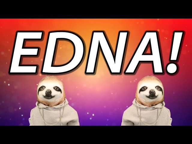 HAPPY BIRTHDAY EDNA! - SLOTH HAPPY BIRTHDAY RAP