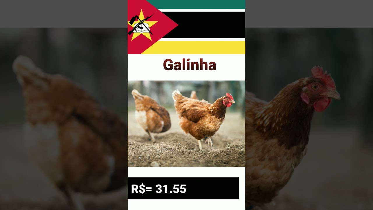 Essa é a diferença de preço de galinha em Moçambique e Brasil 🇧🇷🇲🇿