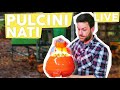 Creo la casa ai PULCINI ðŸ£ appena NATI