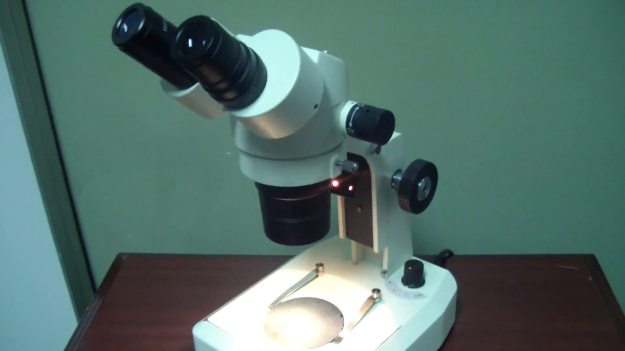 Fisher StereoMaster Microscope YouTube