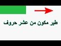  طير مكون من عشر حروف  