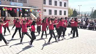 Alhan Şehit Serkan İpek Ortaokulu 5 Ab Sınıfları 23 Nisan Gösterisi