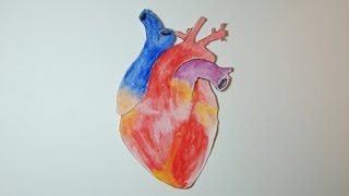 Adrenaline To The Heart