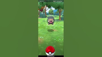 Pokémon GO Pokémon Concierge Event 2025 – Catch Shiny Psyduck & Tropical Pokémon!